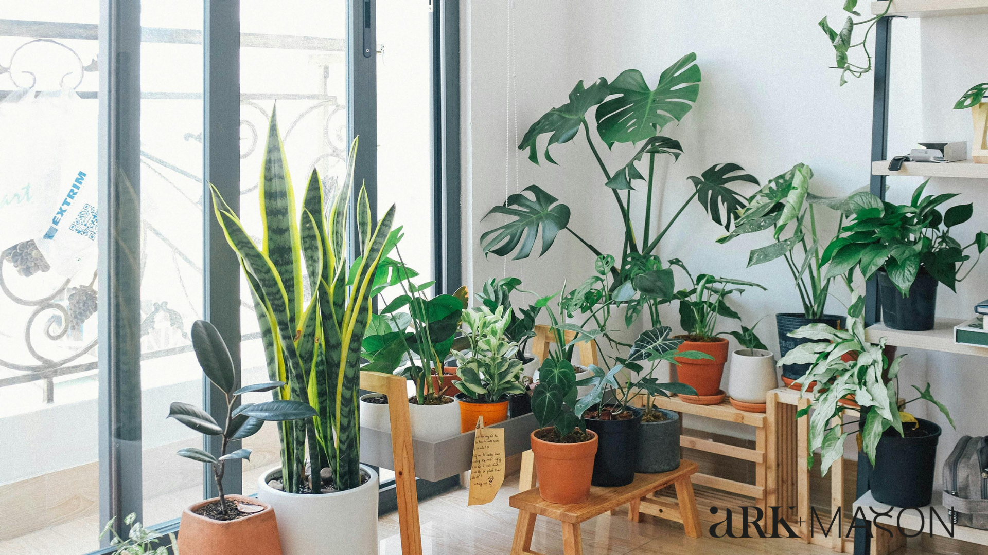 plants interior design
