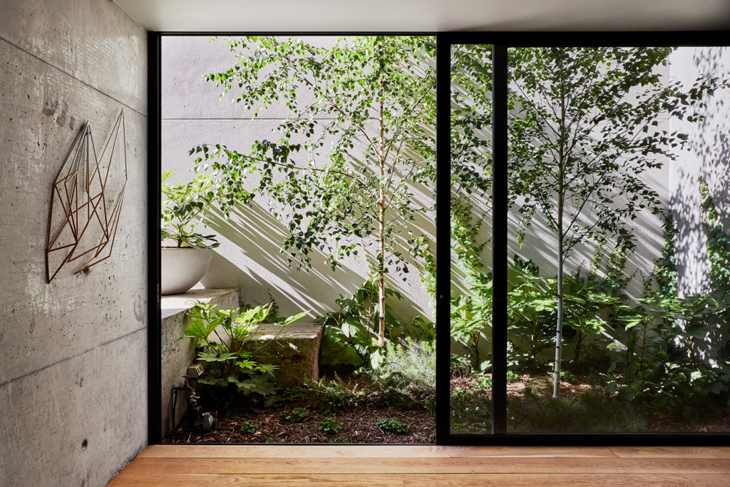 Biophilic Design and How to Incorporate It into Interior Design